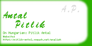 antal pitlik business card